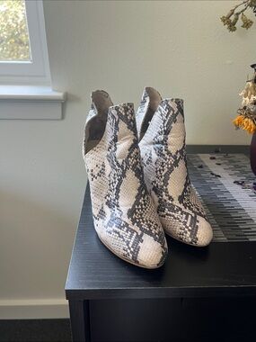 Steve Madden Snake-Print Ankle Booties in Beige and Black